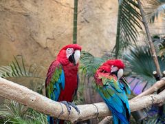 -杭州开元森泊度假乐园