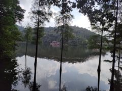 -广州市石门国家森林公园