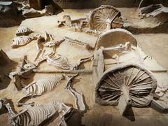 -洛阳周王城天子驾六博物馆