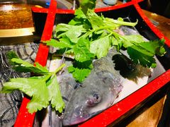 黔鱼-匠岳·王宝器麻椒鱼(全国总店)