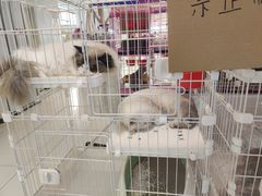-新奥购物中心