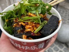 -黑色经典臭豆腐·湖南特产(坡子街店)