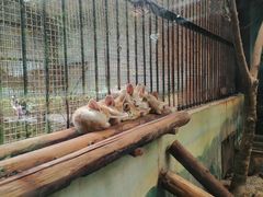 -昆明动物园