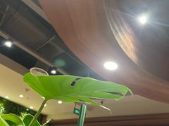 -云海肴汽锅鸡·云南小炒(曲江大悦城店)