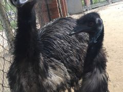 -北戴河集发农业梦想王国