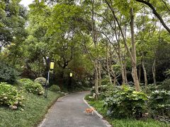 -上海吴淞炮台湾国家湿地公园