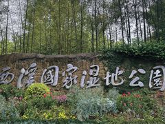 -西溪国家湿地公园