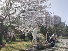-堤角公园