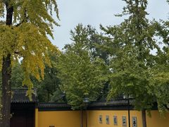 -西园寺素食(西园弄戒幢律寺店)