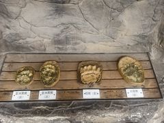 -皇家御河游(紫御湾码头)