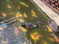 -湖鲜楼