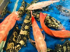 -盒马鲜生(莱蒙都会店)