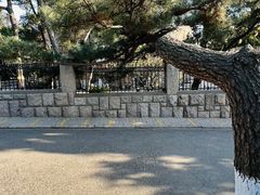 -八大关景区