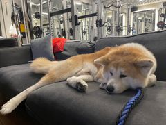 -YCHL Studios健身工作室(市二宫店)