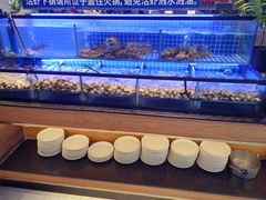 -海吃海喝海鲜烤肉炭火主题自助餐(朝阳店)