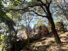 -青芝山风景名胜区