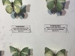 -吉林省自然博物馆