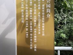 -成都市活水公园