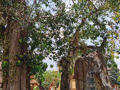 -西双版纳傣族园