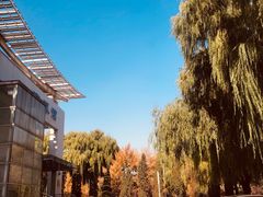 -东北农业大学饺子园