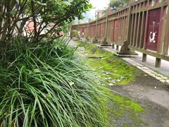 -北川老县城地震遗址