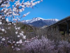 -灵山