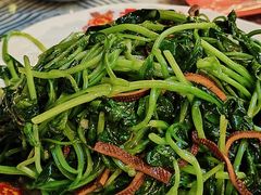 -七寻八找·胡同菜