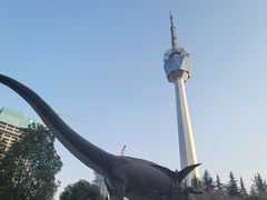 -陕西自然博物馆