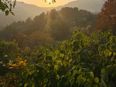 -北京西山国家森林公园