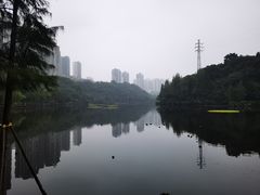-重庆彩云湖湿地公园