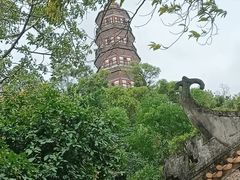 -顺峰山公园