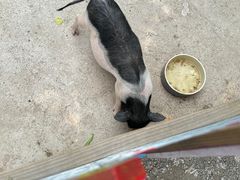 -吉姆冒险世界(蓟州店)