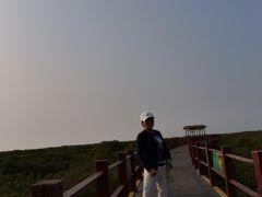 -北海金海湾红树林生态旅游区