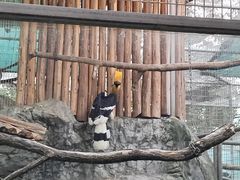 -成都动物园