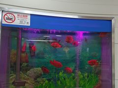 -雅悦齿科(顾村公园店)