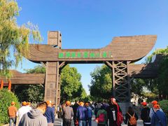 -溱湖国家湿地公园