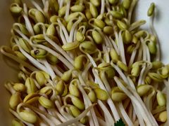 溶洞泉水豆芽-皇城老妈·大连海鲜火锅(港湾店)