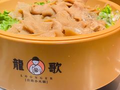素毛肚-龍歌自助小火锅(李沧顺和汇店)