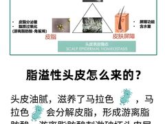 -中国农业大学(西校区)