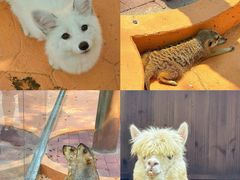 -南戴河国际娱乐中心