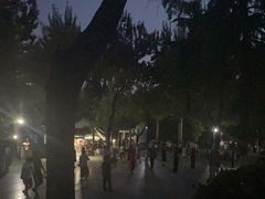 -莲湖公园
