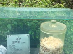 -广州神农草堂中医药博物馆