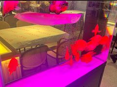 -五丁桥光头香辣蟹(望江橡树林店)