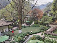 -十八棵（老龙井）御茶园(老龙井店)