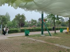 -曹州牡丹园
