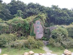 -梧桐山风景名胜区