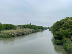 -三垟湿地
