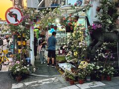 -溪岸路花鸟市场