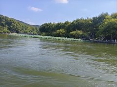 -西湖游船