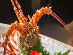 -Mr.Fish鱼鲜生海鲜放题(高德置地冬广场店)